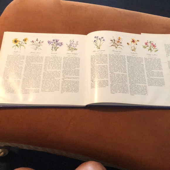 WILDFLOWERS OF THE AMERICAN WEST • HARDCOVER COFFEE TABLE BOOK - Picture 13 of 15